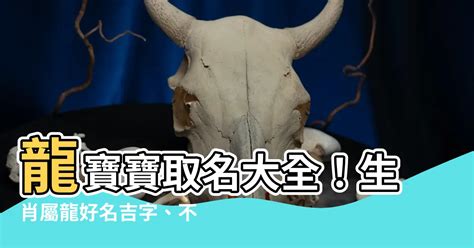 屬馬取名|【馬寶寶取名】生肖馬寶寶取名全攻略：宜忌用字、好名推薦一次。